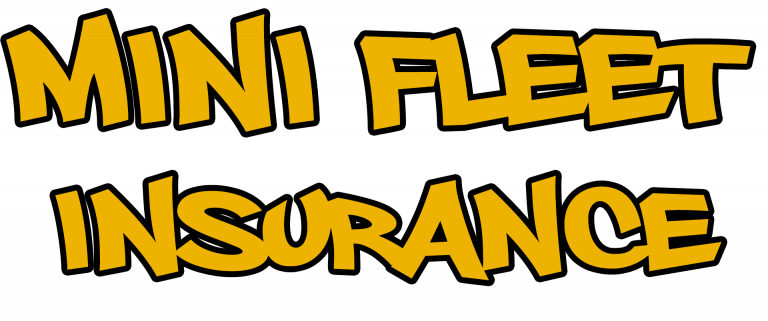 Mini Fleet Insurance